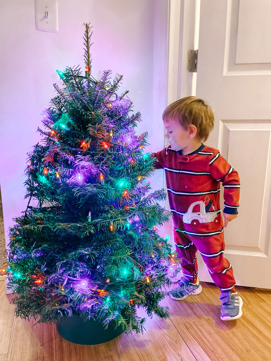3' Table Top Grand Fir The Christmas Tree Stand