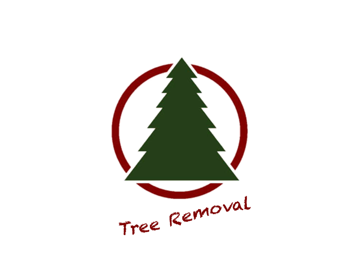 Tree Removal & Recycling The Christmas Tree Stand
