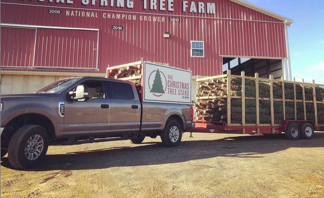 Fraser Fir Christmas Tree Delivery